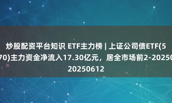 炒股配资平台知识 ETF主力榜 | 上证公司债ETF(511070)主力资金净流入17.30亿元，居全市场前2-20250612