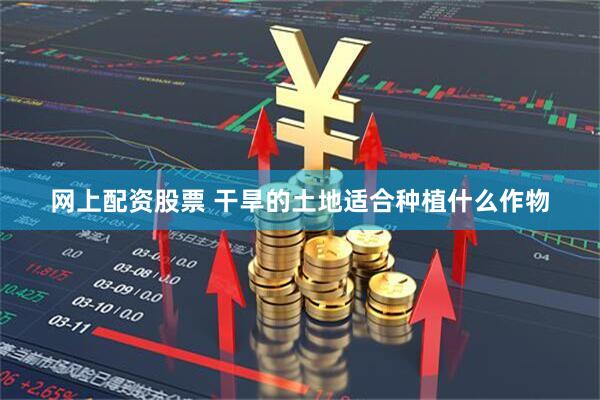 网上配资股票 干旱的土地适合种植什么作物