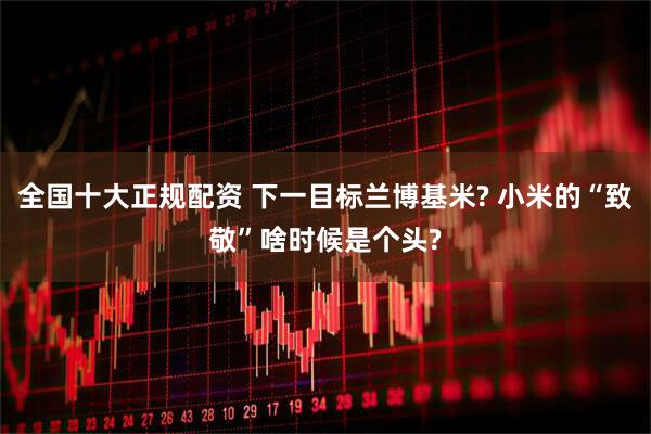 全国十大正规配资 下一目标兰博基米? 小米的“致敬”啥时候是个头?