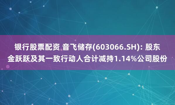 银行股票配资 音飞储存(603066.SH): 股东金跃跃及其一致行动人合计减持1.14%公司股份